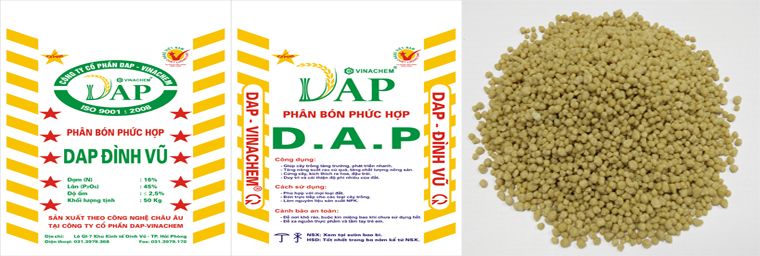  DAP VÀNG ĐÌNH VŨ 