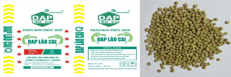  DAP VÀNG LÀO CAI 