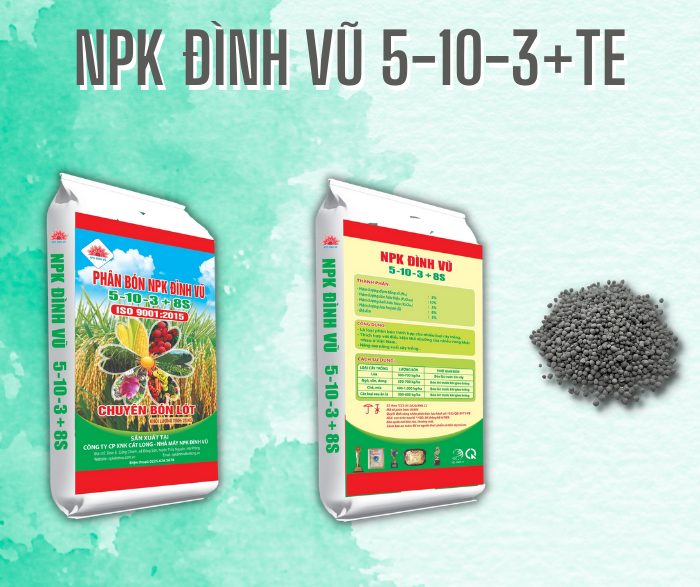  NPK 5-10-3+8S+TE 