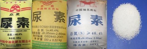  URE HẠT TRONG TRUNG QUỐC 