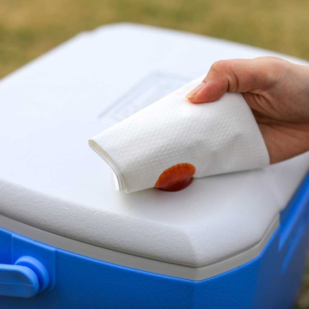  Thùng giữ lạnh Coleman  15L Xanh lơ - 2220152 (7282) 