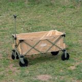  Xe đẩy Coleman  2000034678 (4713) 