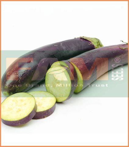 CÀ TÍM RUỘT XANH FS 196