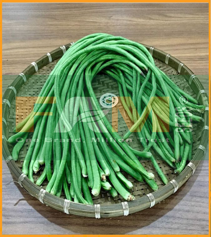 ĐẬU ĐŨA HẠT ĐEN FAM 143