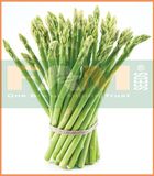 MĂNG TÂY XANH CALIFORNIA FAM 23