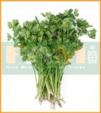 MÙI (NGÒ) HẠT LỚN PHÁP FAM NO.1