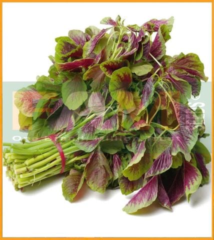 RAU DỀN TIỀU FAM 20