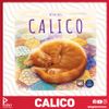 Calico