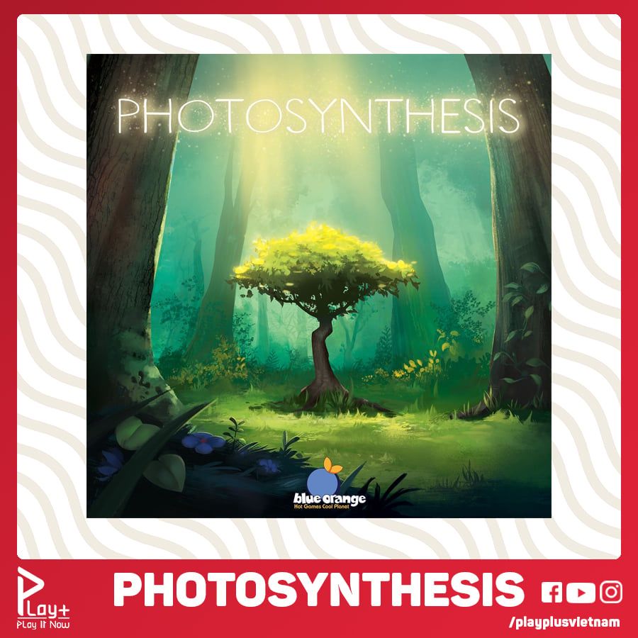 Photosynthesis