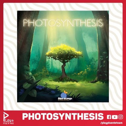 Photosynthesis