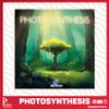 Photosynthesis