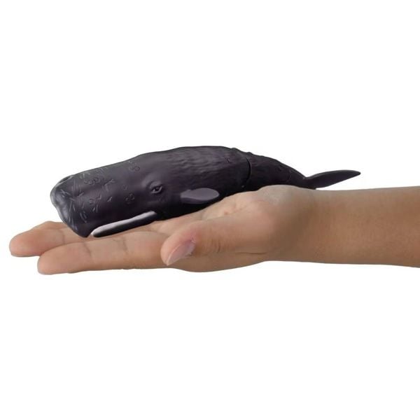  Mô hình động vật cá voi lưng gù ANIA AL-34 Sperm Whale Takara Tomy 957041 