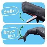  Mô hình động vật cá voi lưng gù ANIA AL-34 Sperm Whale Takara Tomy 957041 