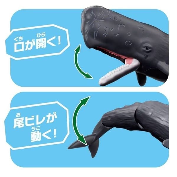 Mô hình động vật cá voi lưng gù ANIA AL-34 Sperm Whale Takara Tomy 957041 