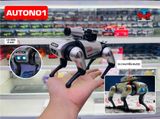  Mô hình robot thú cưng di chuyển được - có âm thanh đèn kích thước 15cm Henteng model 262A 