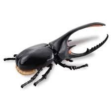  Mô hình động vật bọ cánh cứng Ania AL-39 Neptune Beetle Takara Tomy 96863 