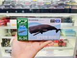  Mô hình động vật cá voi lưng gù ANIA AL-34 Sperm Whale Takara Tomy 957041 