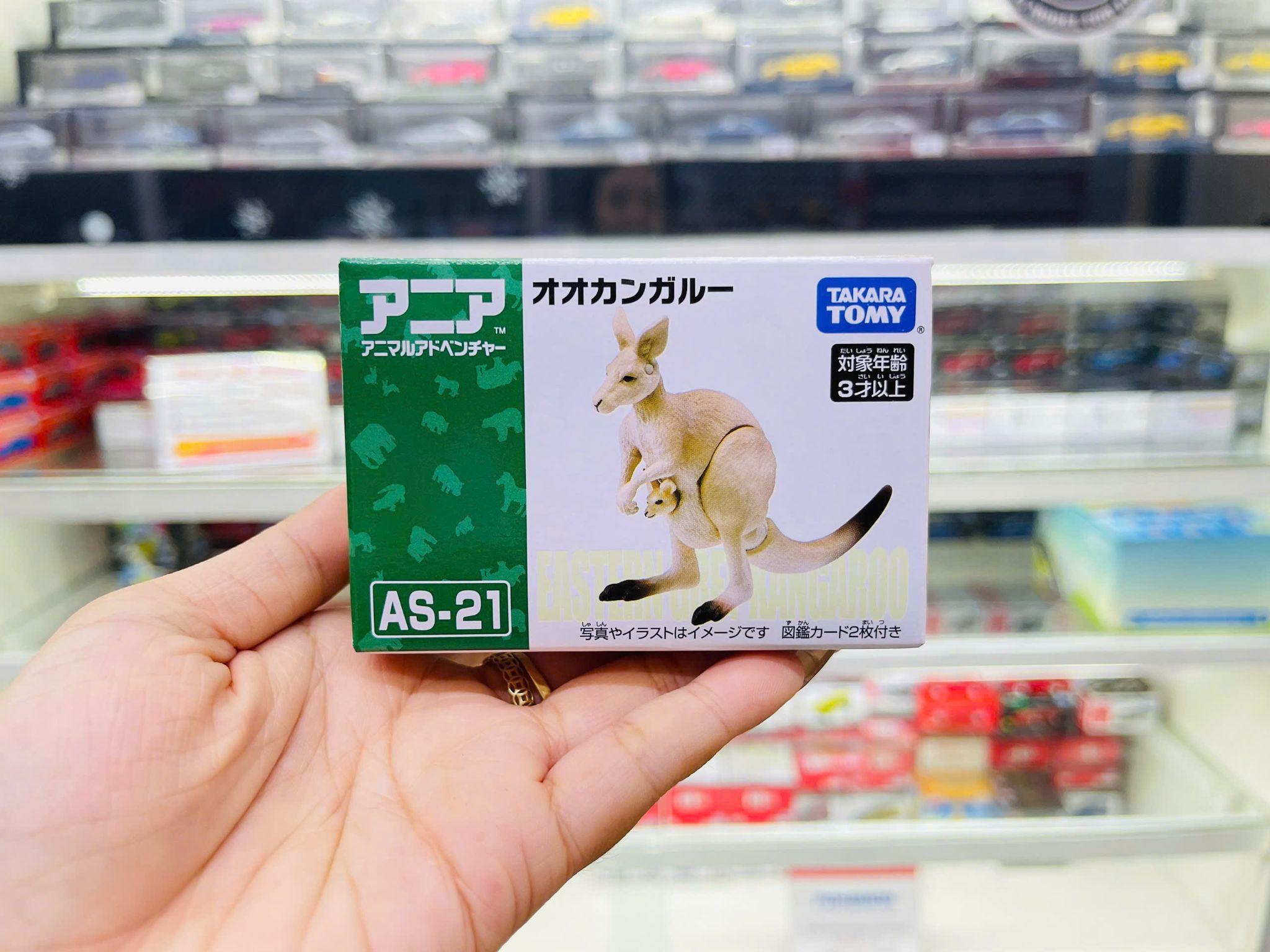  Mô hình động vật chuột túi Ania AS-21 Kangaroo Takara Tomy 179702 