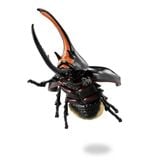  Mô hình động vật bọ cánh cứng Ania AL-39 Neptune Beetle Takara Tomy 96863 