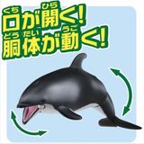  Mô hình động vật cá heo Ania AS-19 Dolphin Takara Tomy 615446 