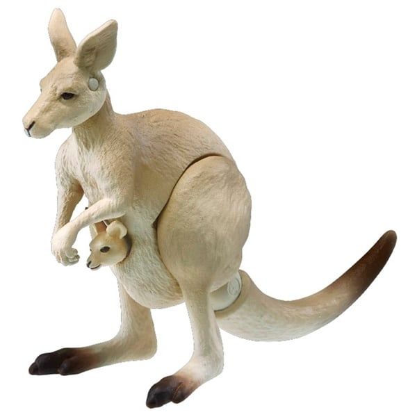  Mô hình động vật chuột túi Ania AS-21 Kangaroo Takara Tomy 179702 