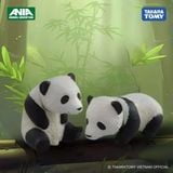  Mô hình động vật gấu trúc nhỏ ANIA AS-23 Giant Panda Baby Takara Tomy 811251 