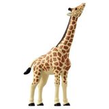  Mô hình động vật hưu cao cổ ANIA AL-30 Giraffe Takara Tomy 919360 