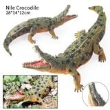  Mô hình động vật cá sấu sông Nile Crocodile green kích thước 12cm bằng nhựa JZD087 