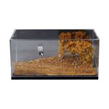  Hộp trưng bày mô phỏng diorama đường đất cánh đồng mùa thu kích thước 18cm x 8.5cm x 8.6cm tỉ lệ 1:64 MoireMO901333 