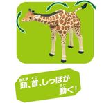  Mô hình động vật hưu cao cổ ANIA AL-30 Giraffe Takara Tomy 919360 