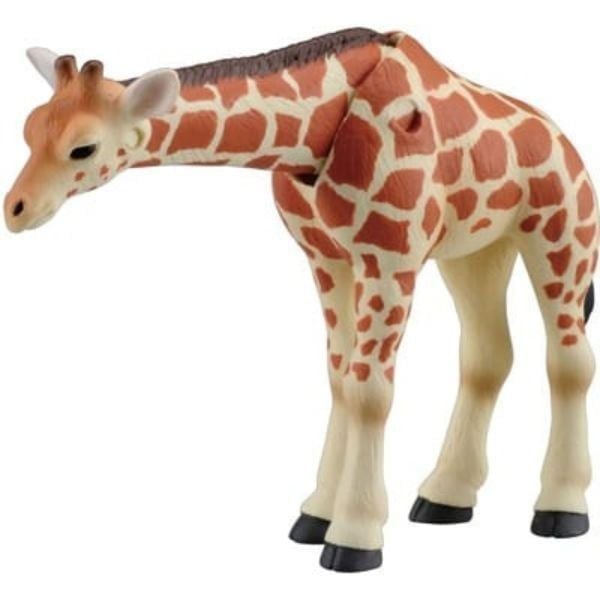  Mô hình động vật hươu cao cổ con ANIA AS-12 Giraffe (Kid) Takara Tomy 871057 