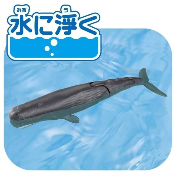  Mô hình động vật cá voi lưng gù ANIA AL-34 Sperm Whale Takara Tomy 957041 