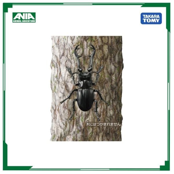  Mô hình động vật Bọ cánh cứng Ania AS-40 Prosopocoilus Giraffa Takara Tomy 210368 