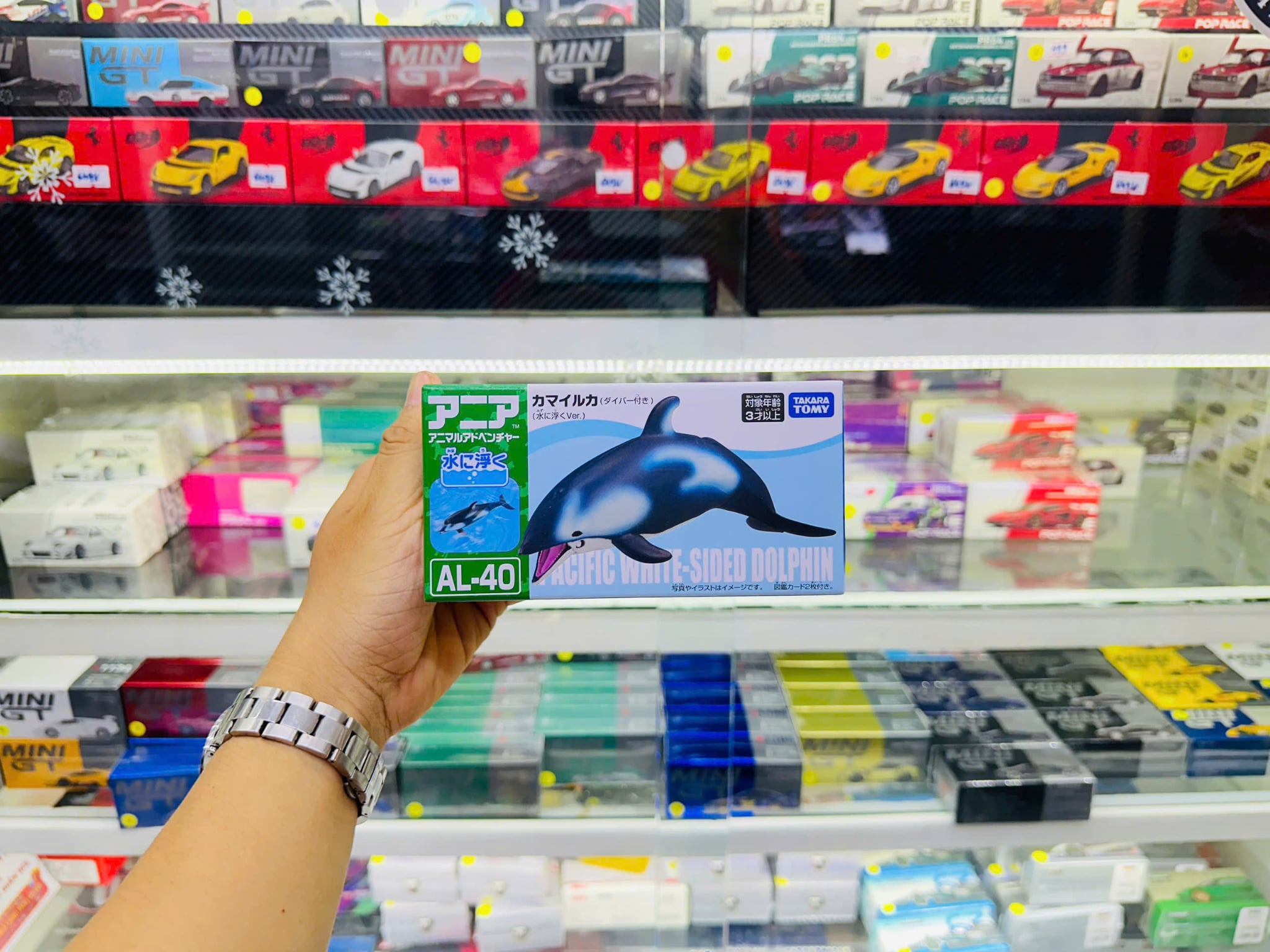  Mô hình động vật cá heo White Sided Dolphin - thợ lặn ANIA AL-40 Takara Tomy 85966 