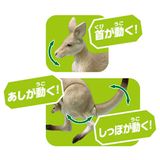  Mô hình động vật chuột túi Ania AS-21 Kangaroo Takara Tomy 179702 