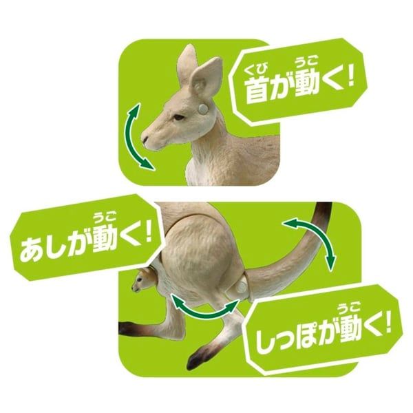  Mô hình động vật chuột túi Ania AS-21 Kangaroo Takara Tomy 179702 