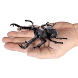  Mô hình động vật bọ cánh cứng sừng dài Ania AL-38 Giraffe Stag Beetle Takara Tomy 96870 