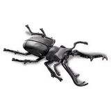  Mô hình động vật bọ cánh cứng sừng dài Ania AL-38 Giraffe Stag Beetle Takara Tomy 96870 