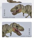  Mô hình khủng long T-rex Tyrannosaurus Rex green kích thước 32cm bằng nhựa JZD020 