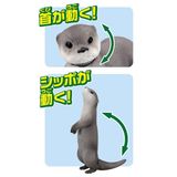  Mô hình động vật rái cá ANIA AS-15 Eurasian Otter Takara Tomy 615477 