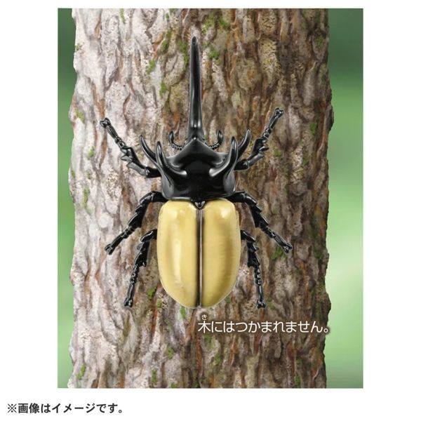  Mô hình động vật bọ cánh cứng Ania AS-41 Five Horns Beetle Takara Tomy 908524 