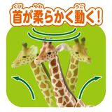  Mô hình động vật hưu cao cổ ANIA AL-30 Giraffe Takara Tomy 919360 