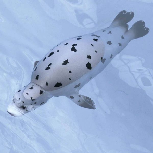  Mô hình động vật hải cẩu Ania AS-22 Spotted Seal Takara Tomy 615453 