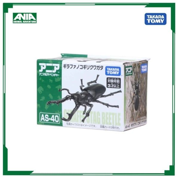  Mô hình động vật Bọ cánh cứng Ania AS-40 Prosopocoilus Giraffa Takara Tomy 210368 