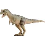  Mô hình động vật khủng long Ania AL-16 Carnotaurus Takara Tomy 895671 