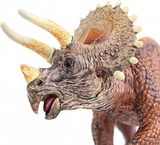  Mô hình khủng long tam giác long 3 sừng Triceratops 18cm bằng nhựa JZD006 