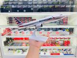  Mô hình máy bay American B787 có bánh xe - kích thước 30cm MB30044 