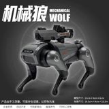  Mô hình robot thú cưng di chuyển được - có âm thanh đèn kích thước 15cm Henteng model 262A 