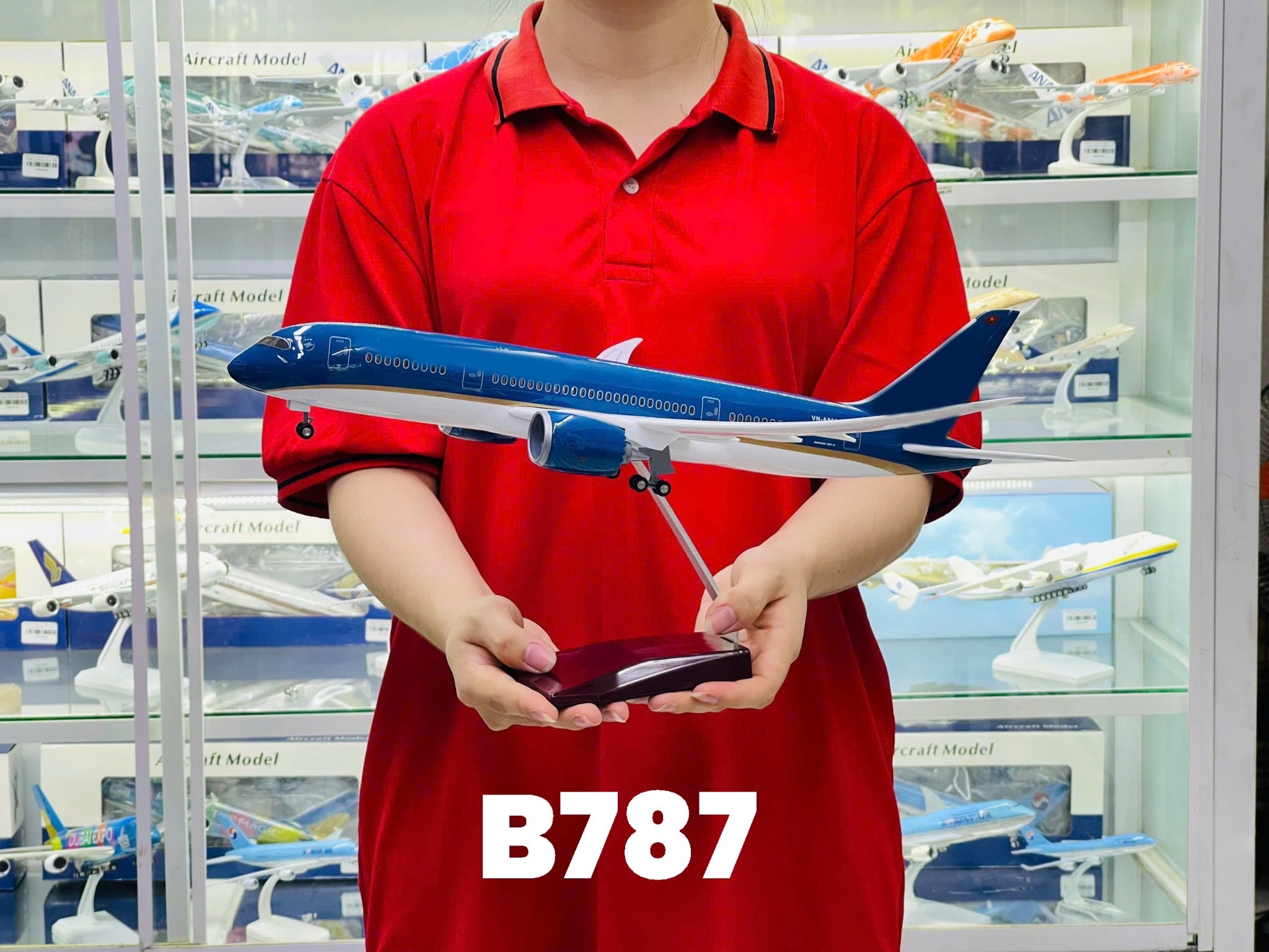  Mô hình máy bay VN Boeing B787 Dreamliner  47cm 1:130 No LED 47cm MB47087 