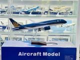  Mô hình máy bay Vietnam Airlines Dreamliner Boeing B787 47cm 1:130 No LED 47cm MB47087 